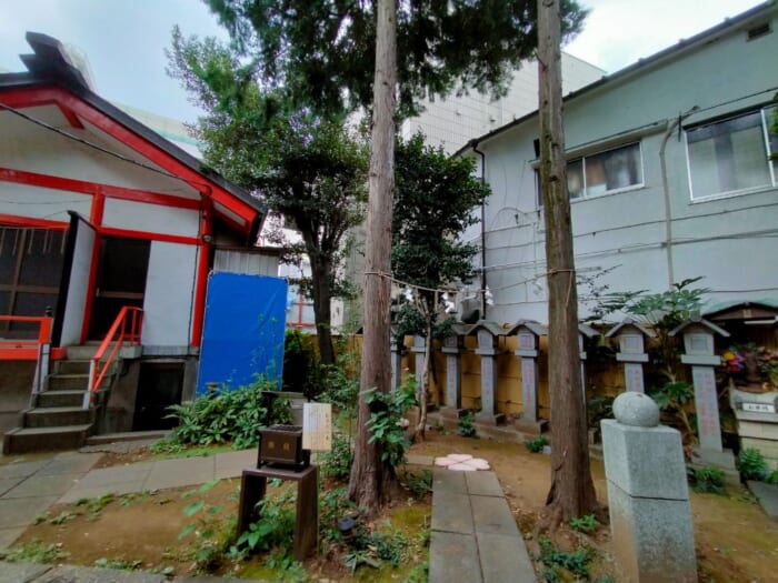 池袋で「美」と「縁」を結ぶ三社巡りで運気UP―くまくま神社・池袋氷川神社・子易神社