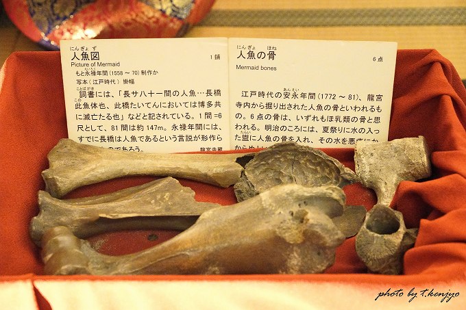 福岡の秋の風物詩「博多旧市街ライトアップウォーク2025千年煌夜」開催決定！ その見所を徹底紹介