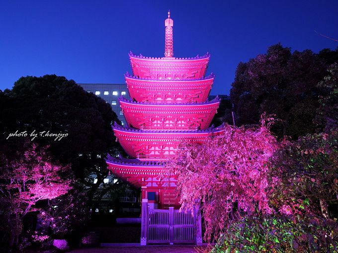 福岡の秋の風物詩「博多旧市街ライトアップウォーク2025千年煌夜」開催決定！ その見所を徹底紹介