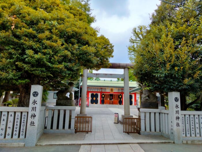 池袋で「美」と「縁」を結ぶ三社巡りで運気UP―くまくま神社・池袋氷川神社・子易神社
