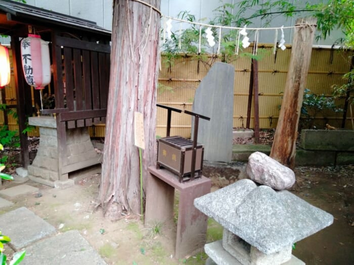 池袋で「美」と「縁」を結ぶ三社巡りで運気UP―くまくま神社・池袋氷川神社・子易神社