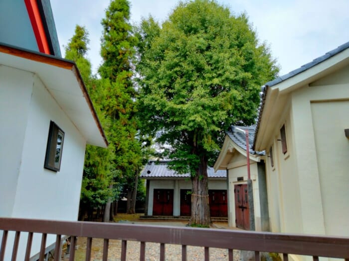 池袋で「美」と「縁」を結ぶ三社巡りで運気UP―くまくま神社・池袋氷川神社・子易神社