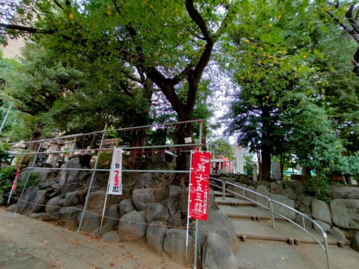 池袋で「美」と「縁」を結ぶ三社巡りで運気UP―くまくま神社・池袋氷川神社・子易神社