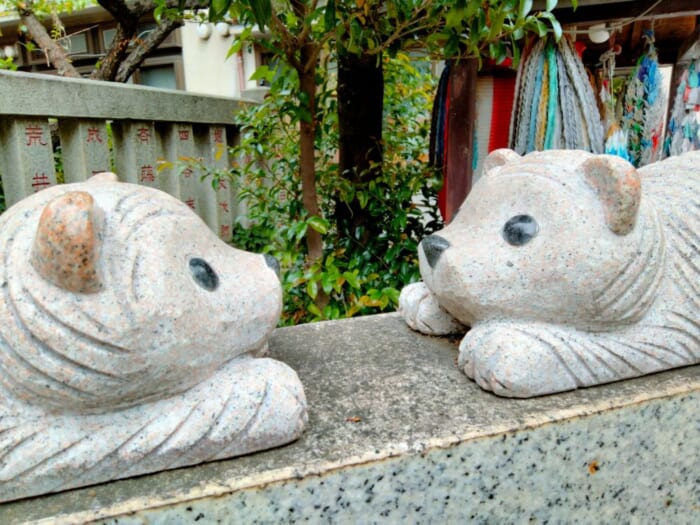 池袋で「美」と「縁」を結ぶ三社巡りで運気UP―くまくま神社・池袋氷川神社・子易神社