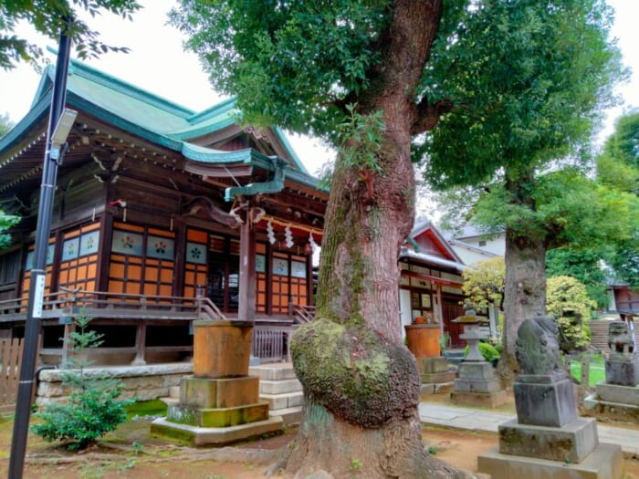 新宿に潜む静寂の異世界系パワースポット―西向天神社と抜弁天
