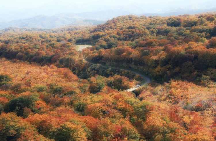秋田県のおすすめ紅葉絶景3選 安の滝・抱返り渓谷・鳥海山で出会う、秋の彩り