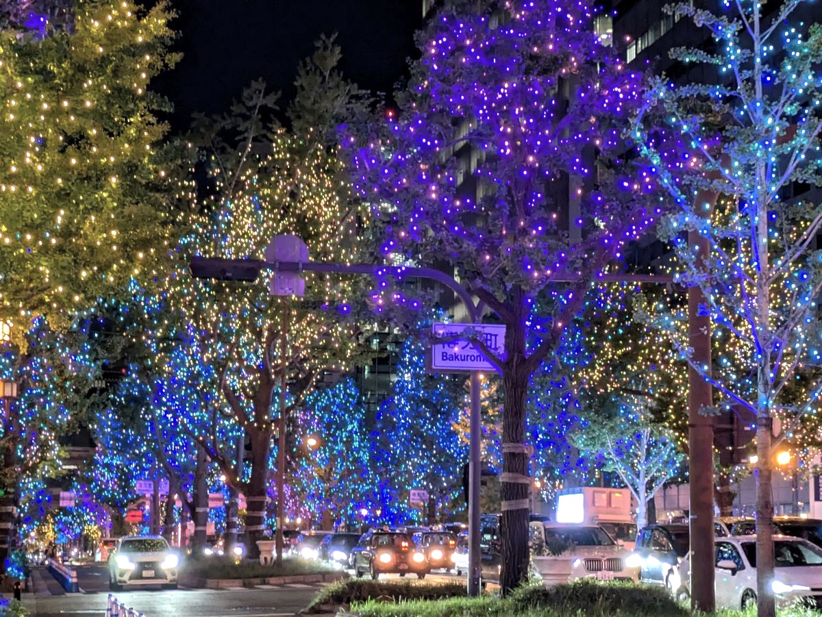 寒さなんて気にならない！ 光り輝く御堂筋イルミネーションの中をオープンデッキバスで走行！