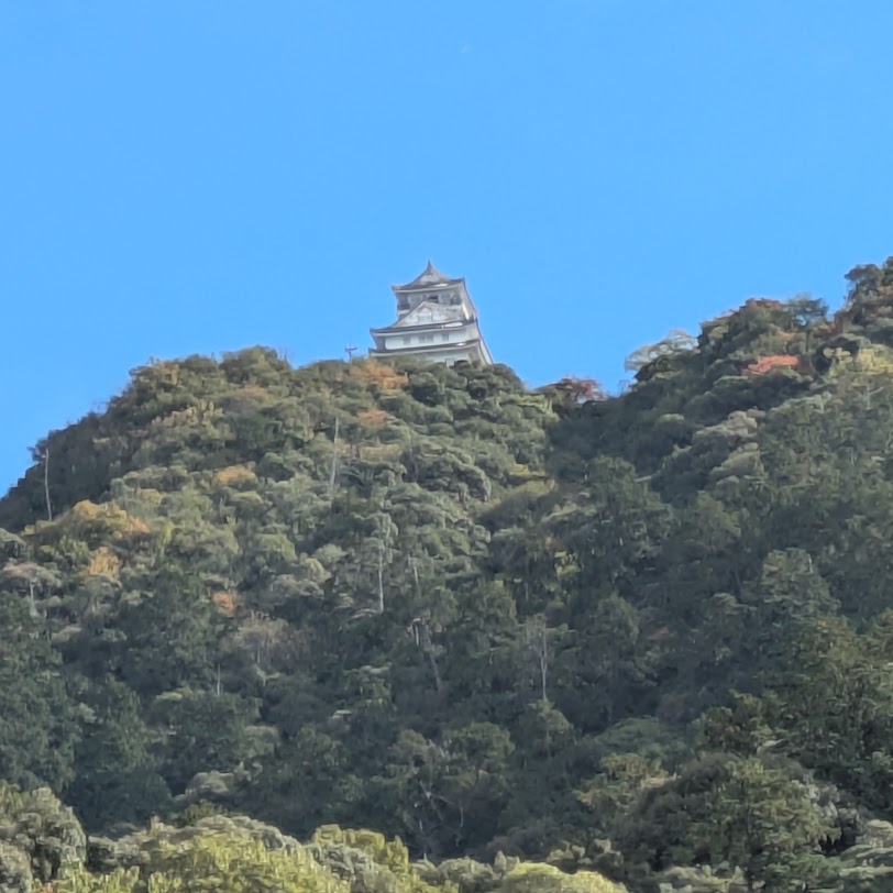 美濃を制する者は天下を制する　その迫力ある絶景とは！岐阜城の魅力をご紹介