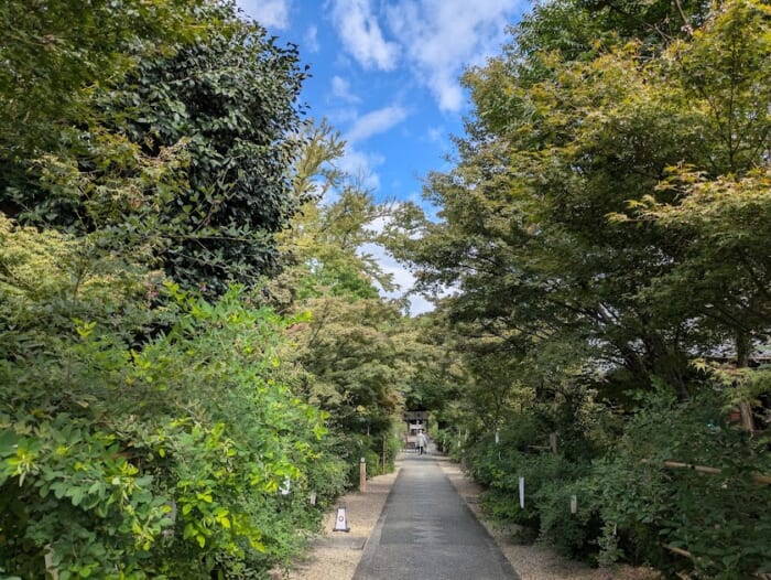 京都は名水の宝庫 梨木神社で嗜む 三名水で作る御利益たっぷりのコーヒー