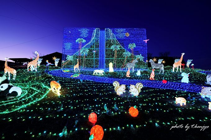 【速報】道の駅おおとう桜街道イルミネーション2025！ 今年のテーマは？ 過去5年分テーマ総まとめ＆無料鑑賞の裏技