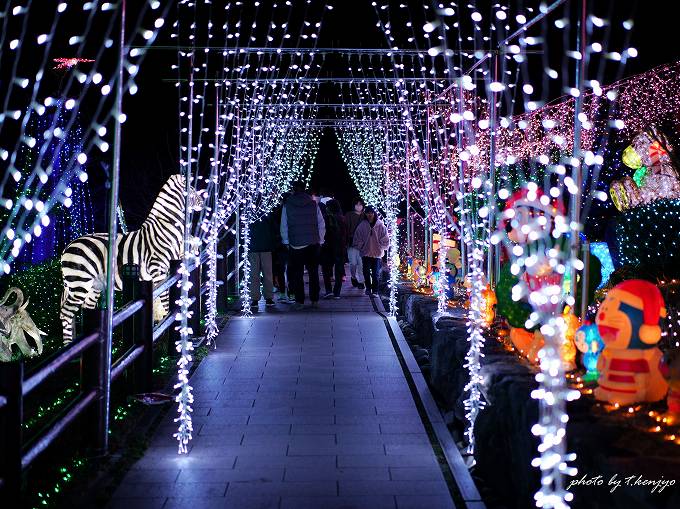 【速報】道の駅おおとう桜街道イルミネーション2025！ 今年のテーマは？ 過去5年分テーマ総まとめ＆無料鑑賞の裏技