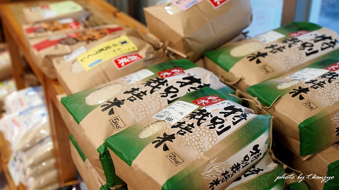 【速報】道の駅おおとう桜街道イルミネーション2025！ 今年のテーマは？ 過去5年分テーマ総まとめ＆無料鑑賞の裏技