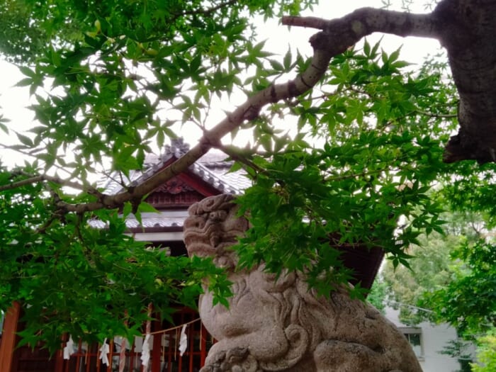 隅田川で江ノ島弁財天！？下町・両国に鎮座する江島杉山神社