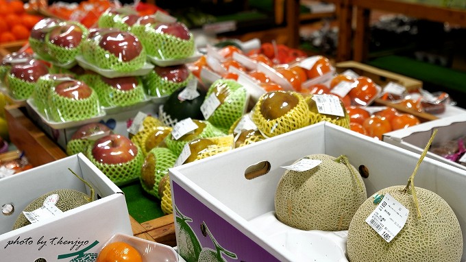 【速報】道の駅おおとう桜街道イルミネーション2025！ 今年のテーマは？ 過去5年分テーマ総まとめ＆無料鑑賞の裏技