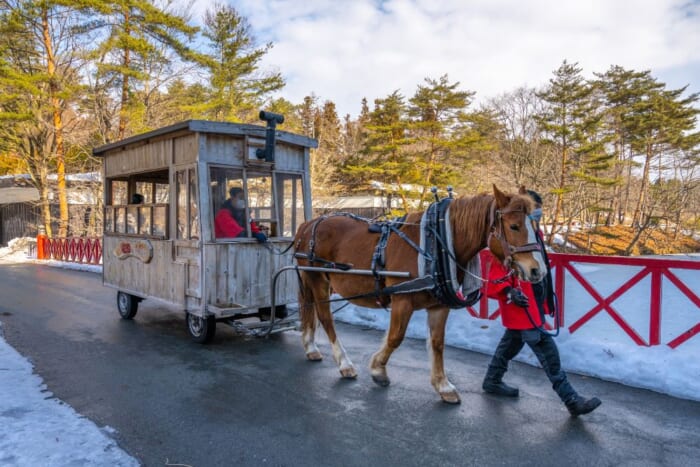 毎日がねぶた祭! 泊まれば青森を満喫できる、青森屋の魅力