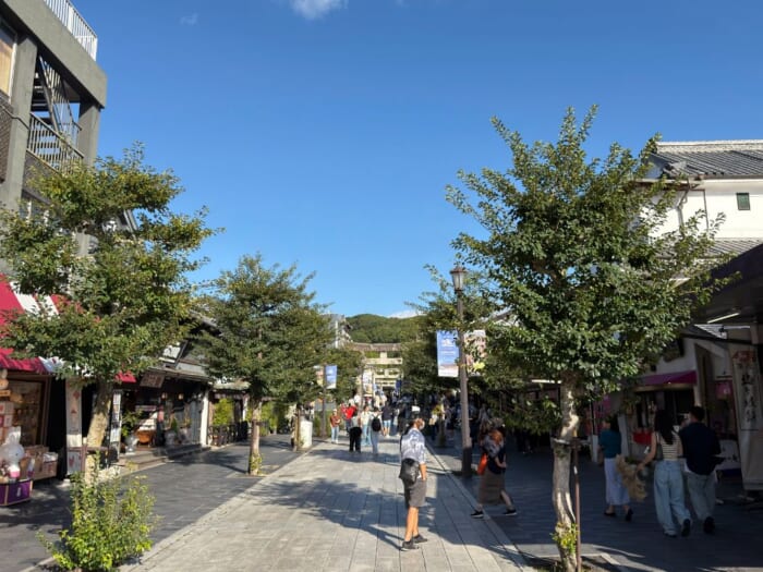 【太宰府天満宮】今しか見られない、飛梅の仮殿