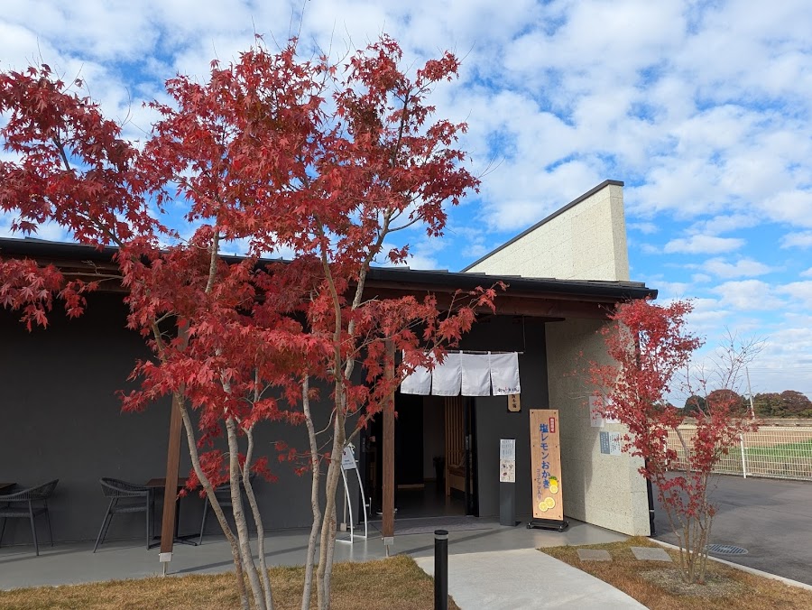 お煎餅専門店で食べる知る人ぞ知る絶品の蕎麦！ 年末年始の手土産にもおすすめ 都炉美煎本舗