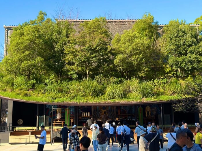 【太宰府天満宮】今しか見られない、飛梅の仮殿