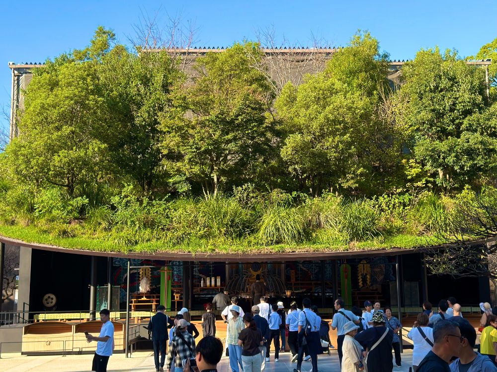 【太宰府天満宮】今しか見られない、飛梅の仮殿