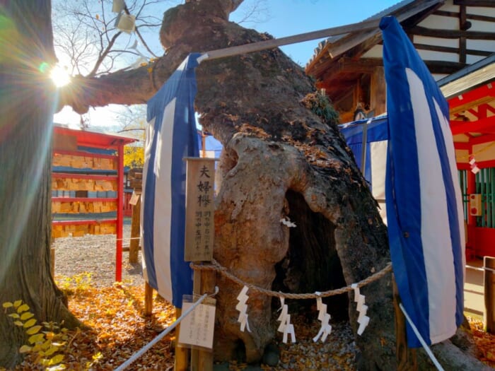 日本の中心で開運を願おう! 長野県の城下町・上田の生島足島神社