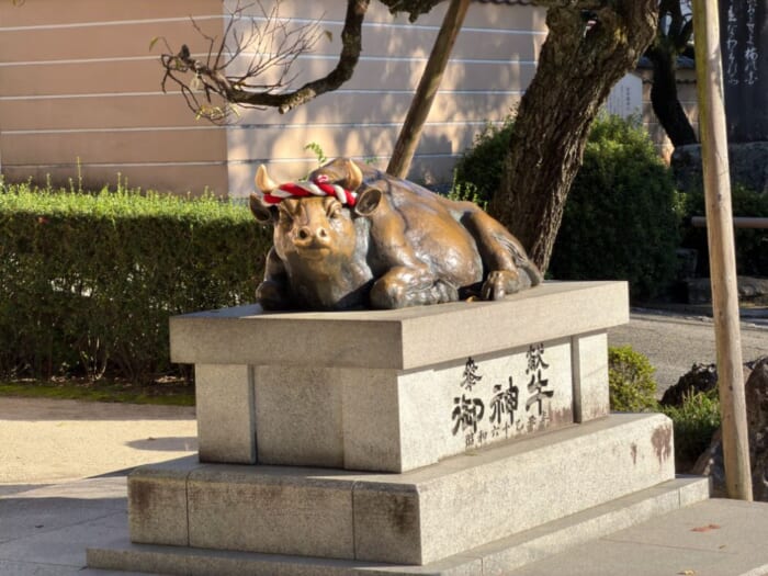【太宰府天満宮】今しか見られない、飛梅の仮殿