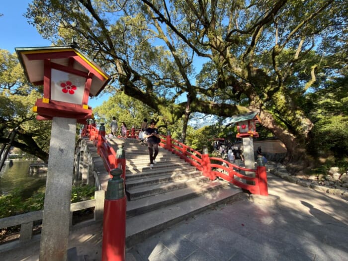 【太宰府天満宮】今しか見られない、飛梅の仮殿