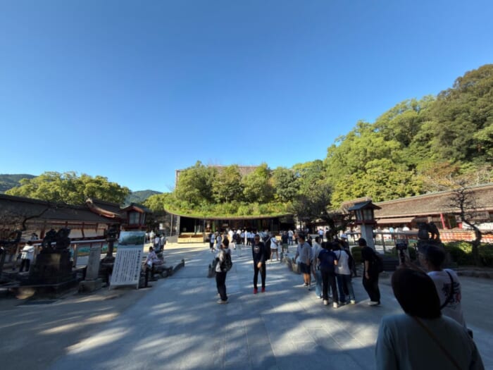 【太宰府天満宮】今しか見られない、飛梅の仮殿