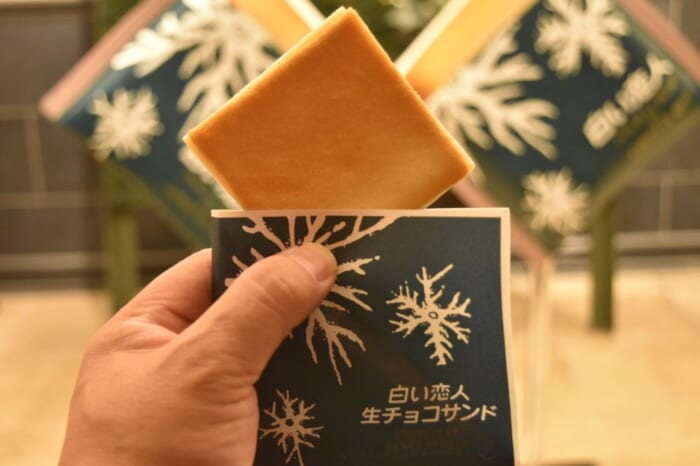 札幌の中に息づく欧州の街並み!白い恋人パーク~甘い香り漂う体験