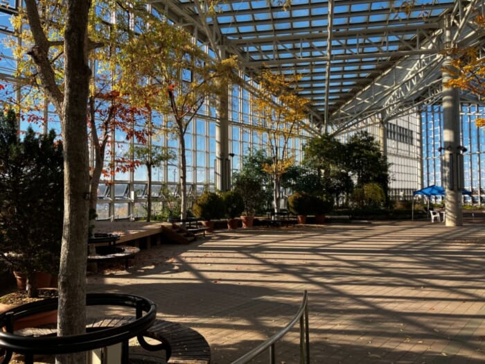 海と風にひらく秋田の時間 セリオンタワー