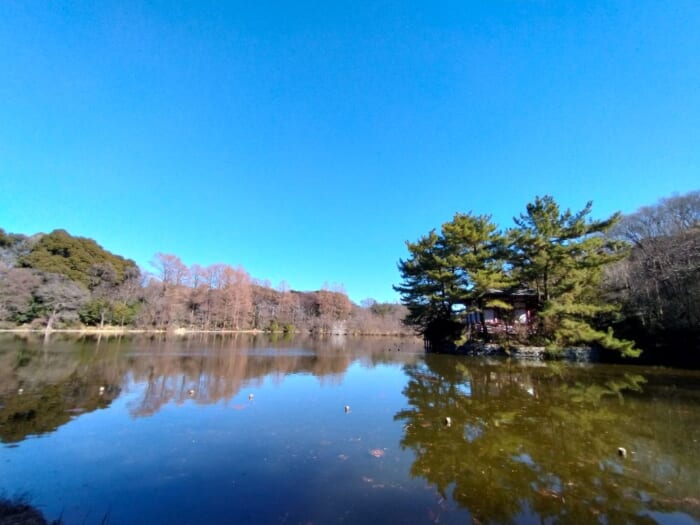 ミスチルの名曲ゆかりのパワースポット―開運浄化の石神井公園