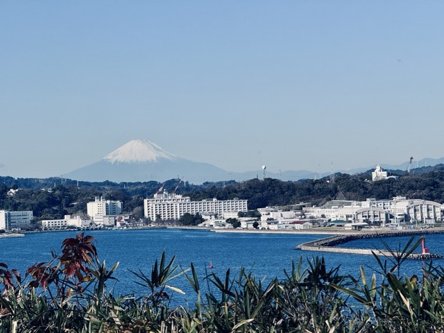 冬の平日朝イチ猿島が、ラピュタの世界観に最も近い説