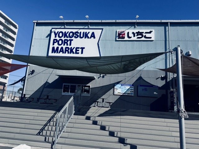 冬の平日朝イチ猿島が、ラピュタの世界観に最も近い説