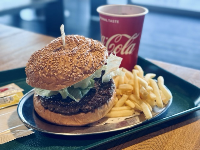 冬の平日朝イチ猿島が、ラピュタの世界観に最も近い説