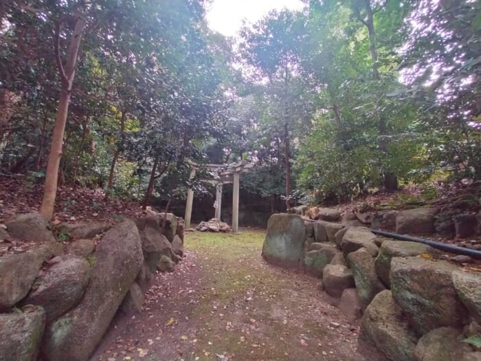 京都で最もミステリアス！？ 三柱鳥居が神々しい木嶋坐天照御魂神社