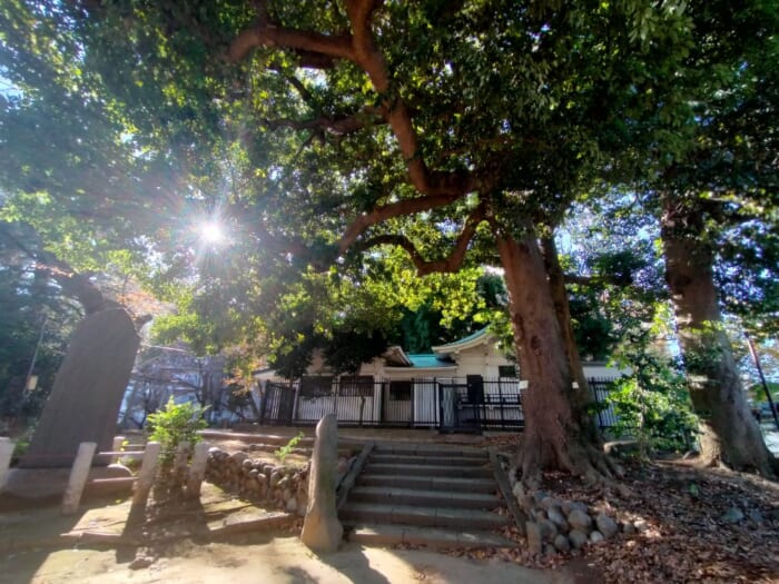 ソメイヨシノ発祥の地・駒込で開運！ 日本武尊ゆかりの妙義神社と異世界の富士神社