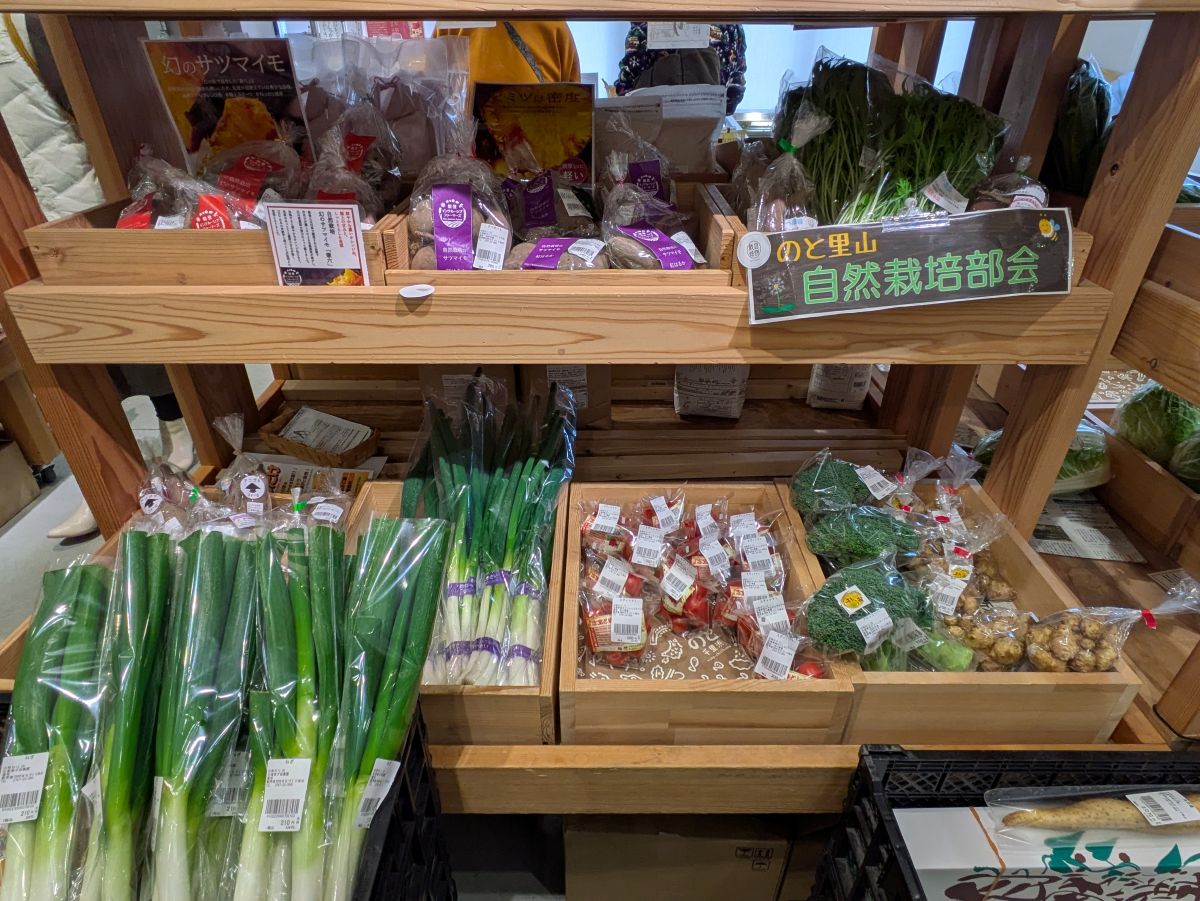 人気の「道の駅のと」と「千里浜なぎさドライブウェイ」をレンタサイクルで満喫!