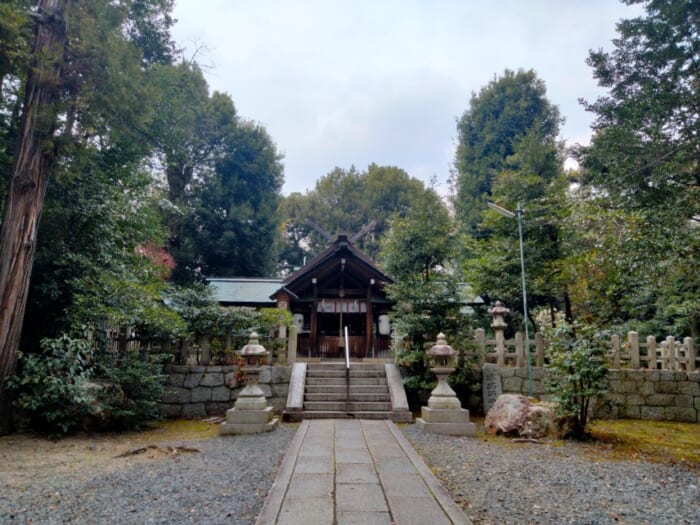 京都で最もミステリアス！？ 三柱鳥居が神々しい木嶋坐天照御魂神社