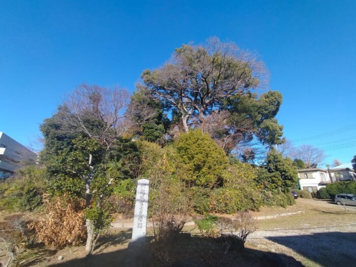 開運スポット・川越―観光客が行かないディープなパワースポット3選