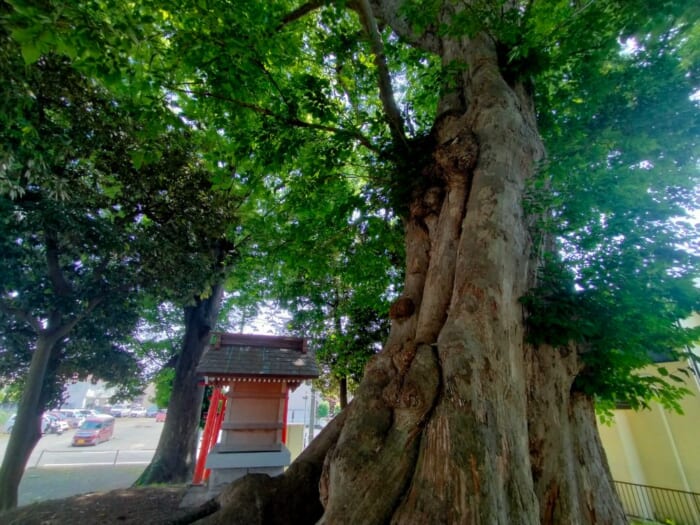 開運スポット・川越―観光客が行かないディープなパワースポット3選