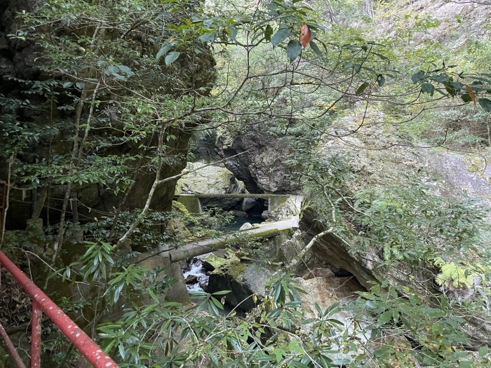 まるでジブリの世界観。自然に癒されたいあなたへおすすめする高知の絶景スポット-中津渓谷県立自然公園