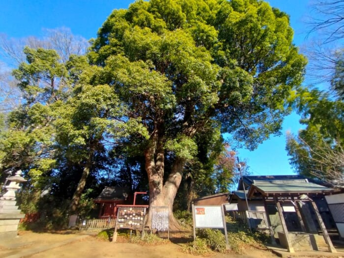 開運スポット・川越―観光客が行かないディープなパワースポット3選