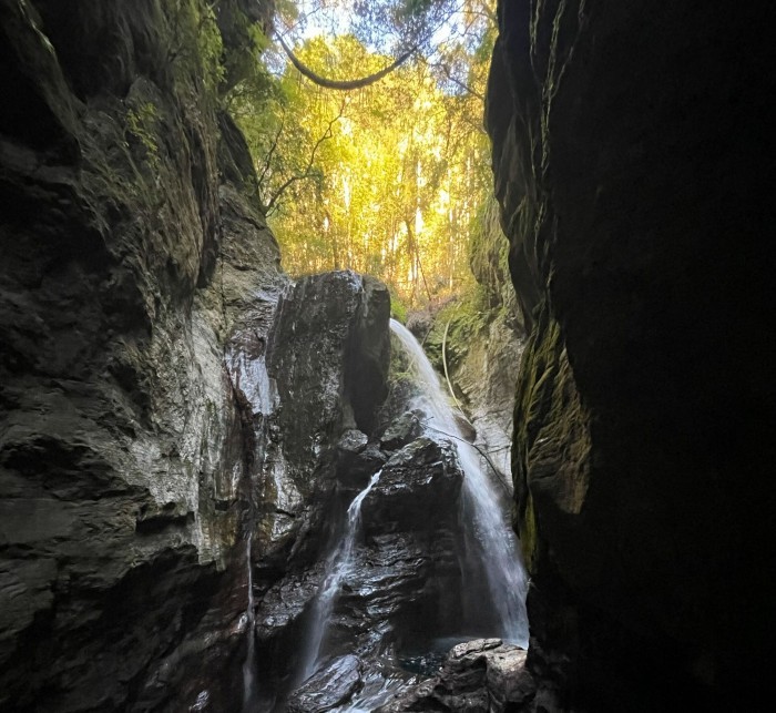 まるでジブリの世界観。自然に癒されたいあなたへおすすめする高知の絶景スポット-中津渓谷県立自然公園