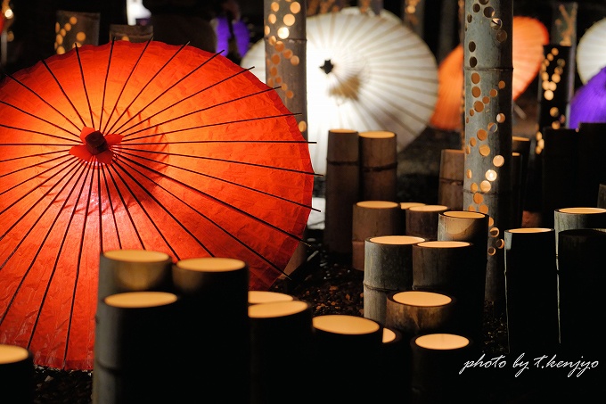 【SNS映えを狙える】熊本の冬の風物詩「山鹿灯籠浪漫・百華百彩2026」が2月限定開催！ モデルコースや撮影のコツもご紹介