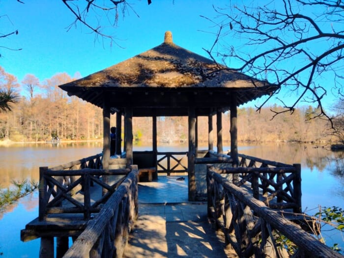 ミスチルの名曲ゆかりのパワースポット―開運浄化の石神井公園