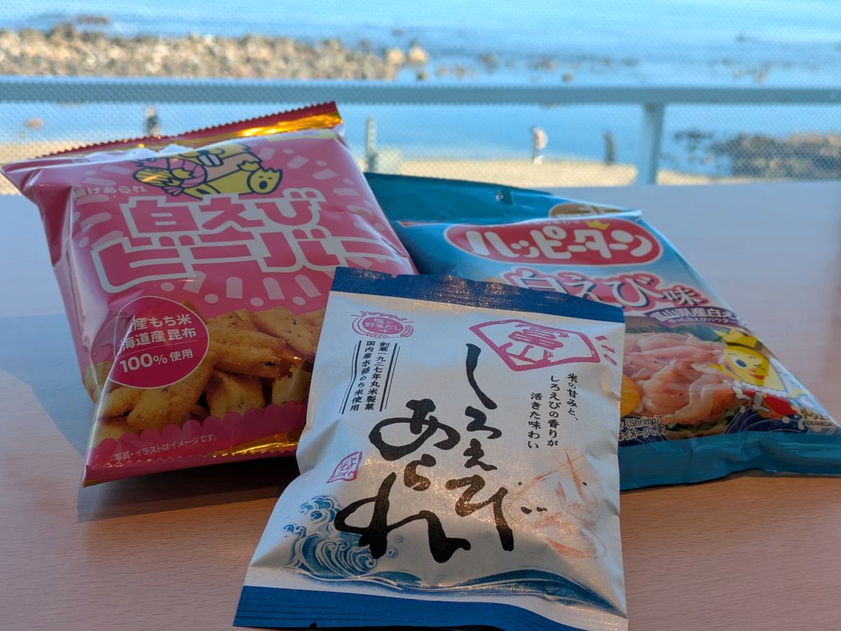 全ては運次第！？ 富山の絶景、雨晴海岸から立山連峰を望む