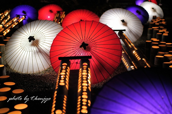 【SNS映えを狙える】熊本の冬の風物詩「山鹿灯籠浪漫・百華百彩2026」が2月限定開催！ モデルコースや撮影のコツもご紹介