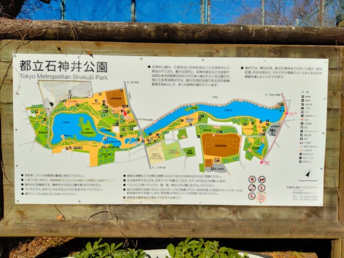 ミスチルの名曲ゆかりのパワースポット―開運浄化の石神井公園