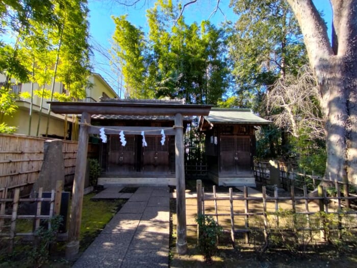 ミスチルの名曲ゆかりのパワースポット―開運浄化の石神井公園