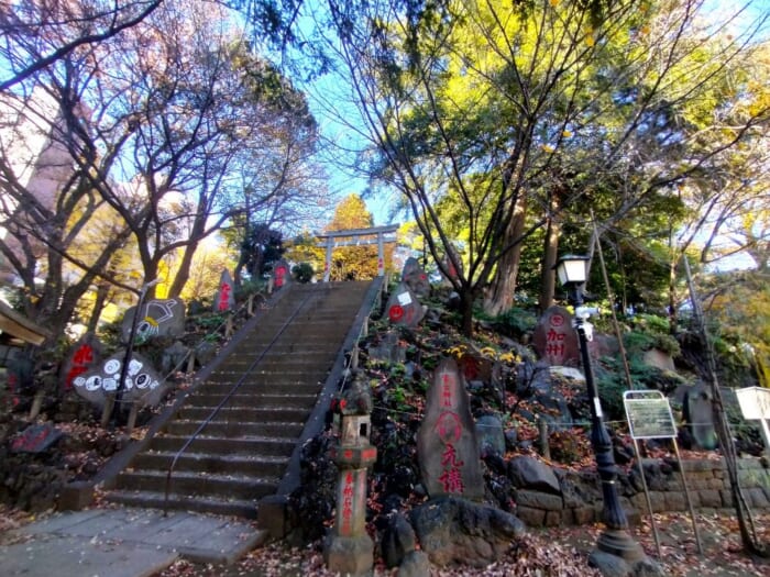 ソメイヨシノ発祥の地・駒込で開運！ 日本武尊ゆかりの妙義神社と異世界の富士神社