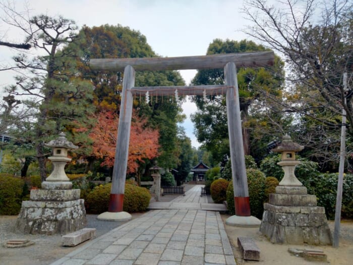 京都で最もミステリアス！？ 三柱鳥居が神々しい木嶋坐天照御魂神社